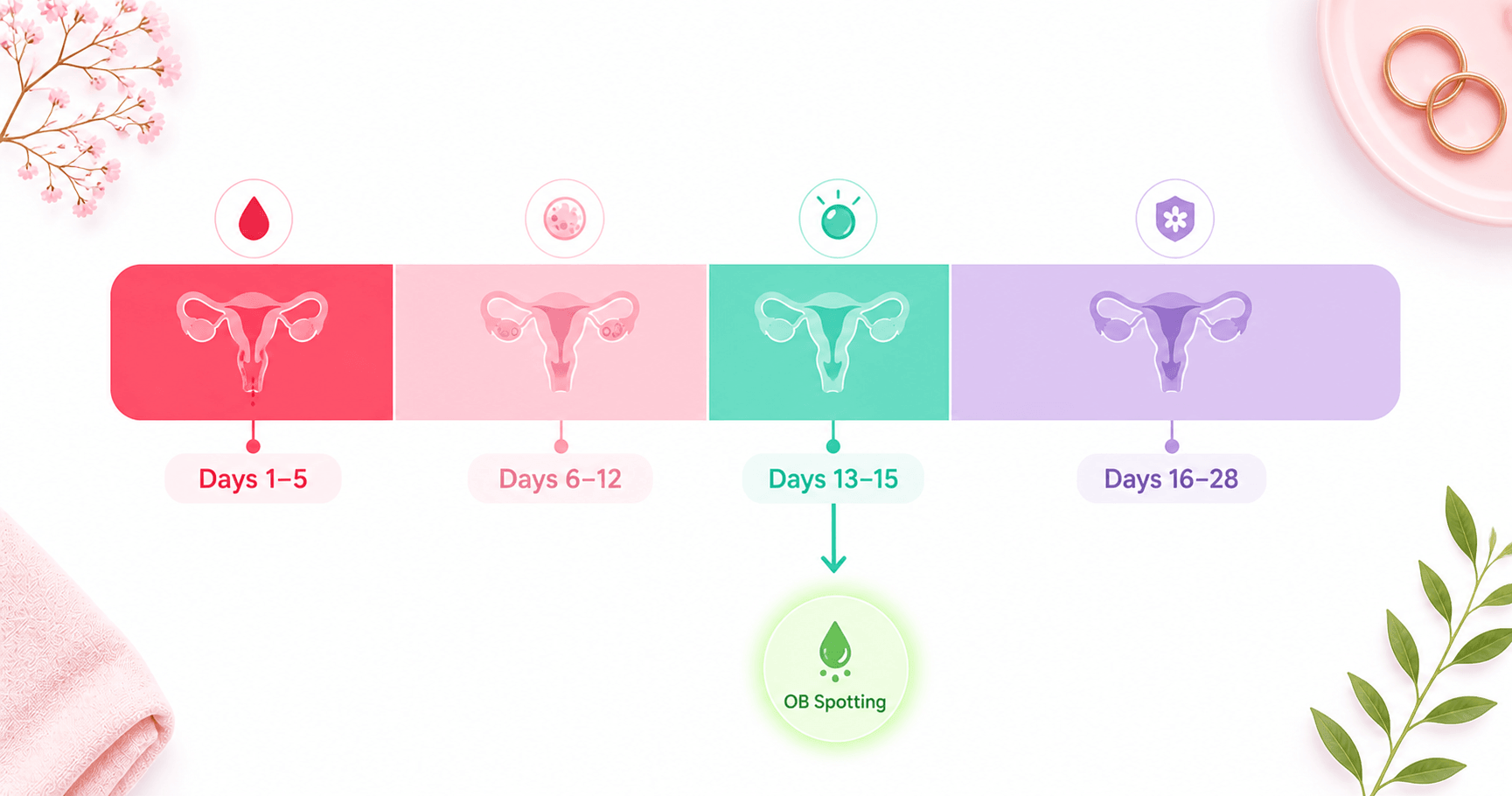 Ovulation bleeding mid-cycle spotting — cycle timeline visual
